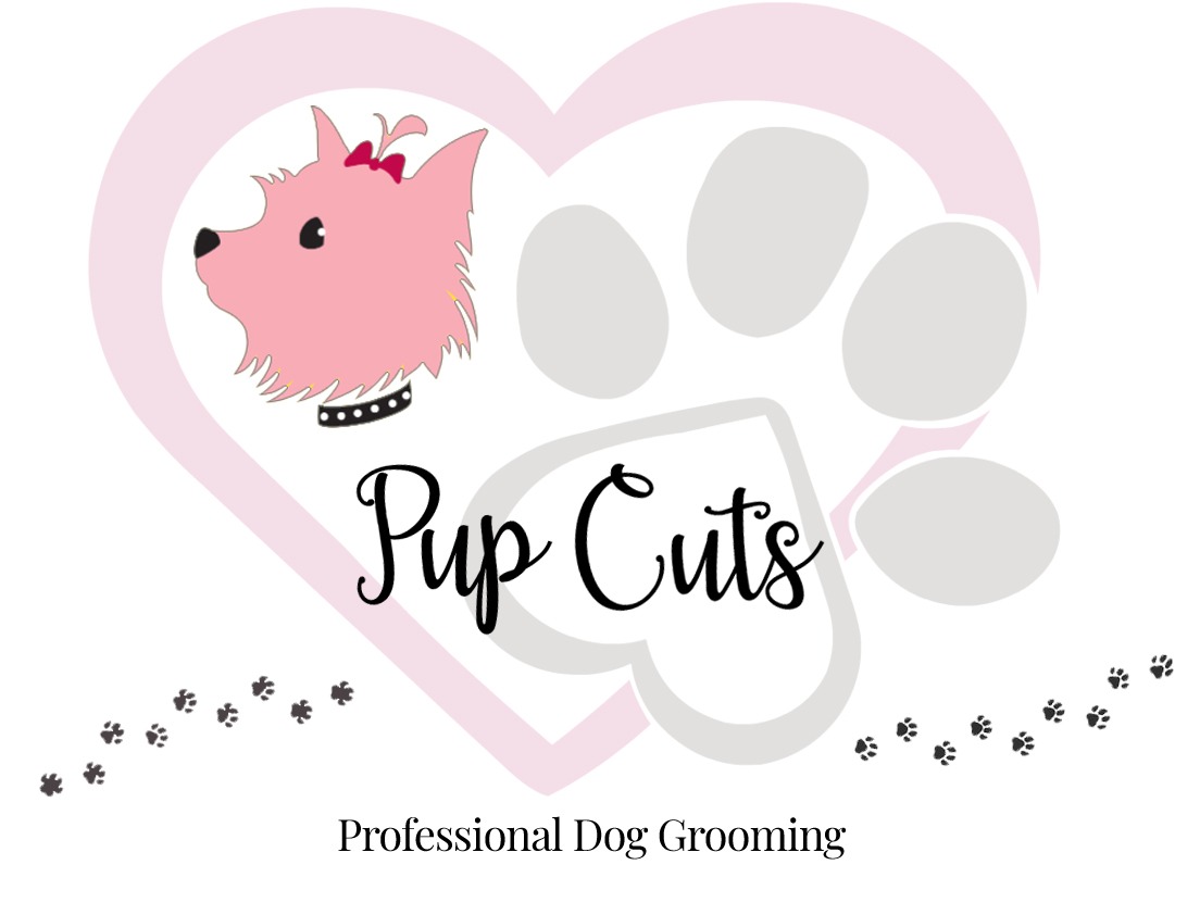 dog groomers morrisville pa